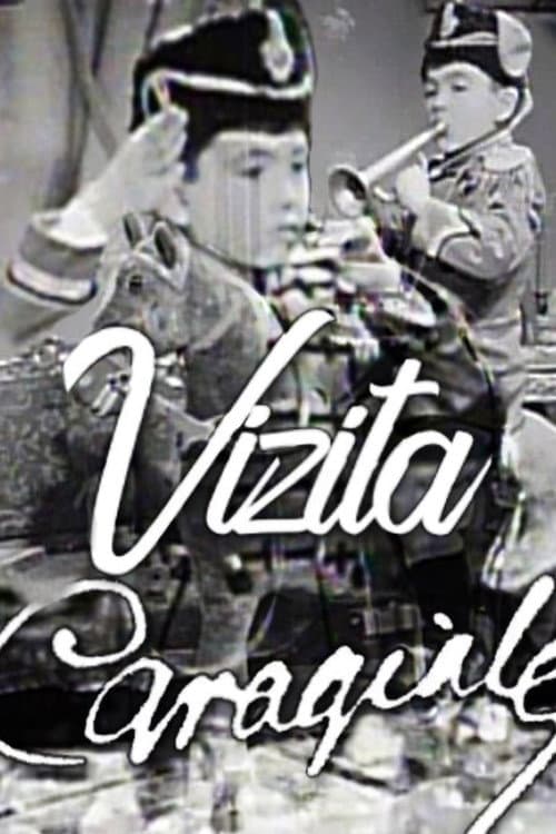 Vizita
