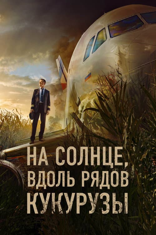 На солнце, вдоль рядов кукурузы