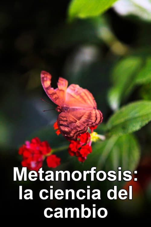 Metamorfosis: La ciencia del cambio