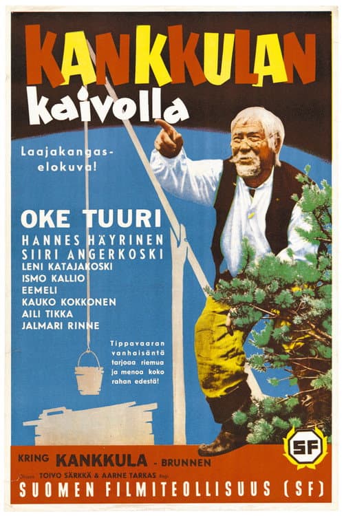 Kankkulan kaivolla