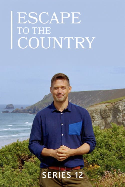 Series 12