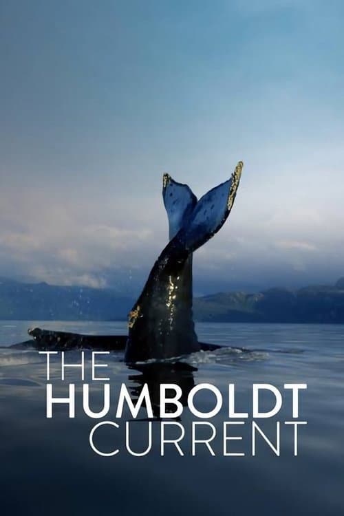 Der Humboldtstrom