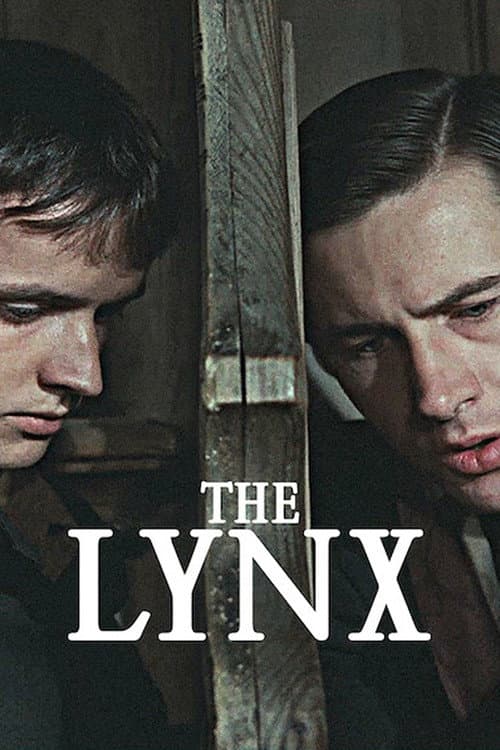 The Lynx