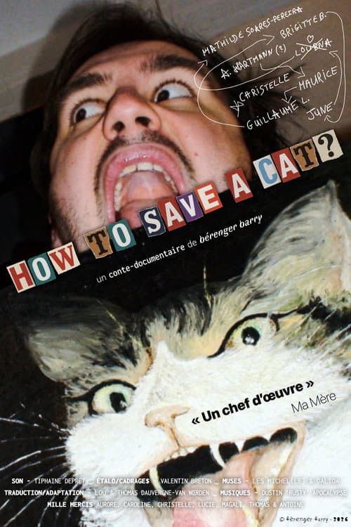How To Save A Cat?
