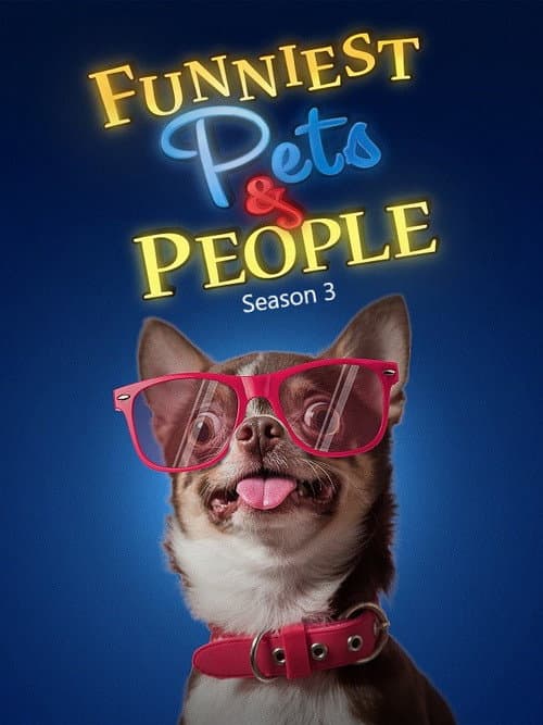 Season 3