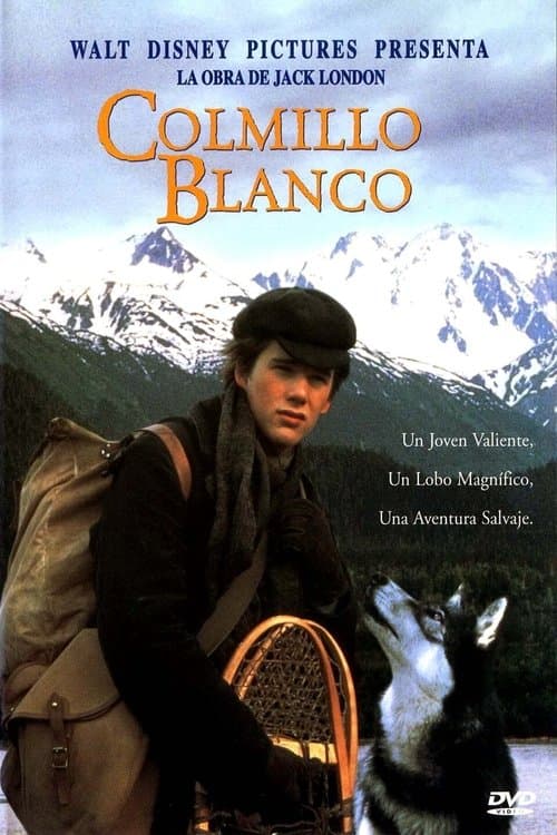 Colmillo blanco