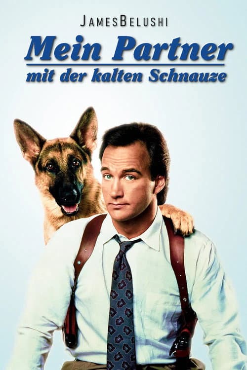 Mein Partner mit der kalten Schnauze