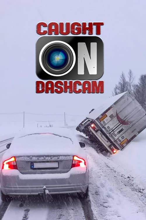 Dashcam – Die schlimmsten Autofahrer der Welt