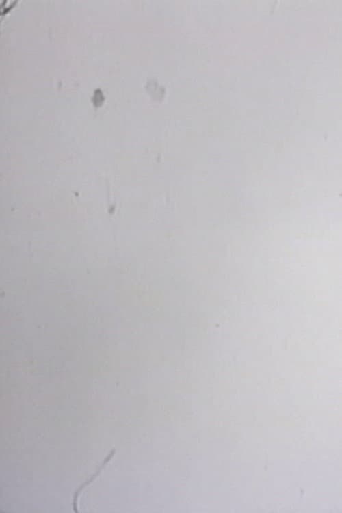 One Frame Duration