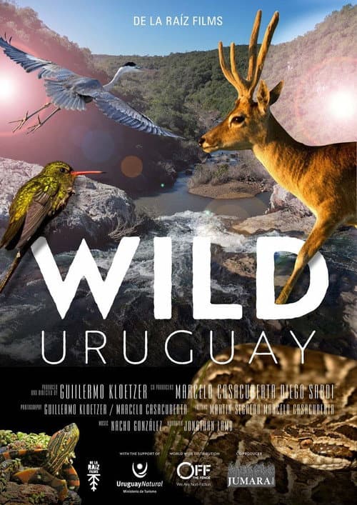 Wildes Uruguay