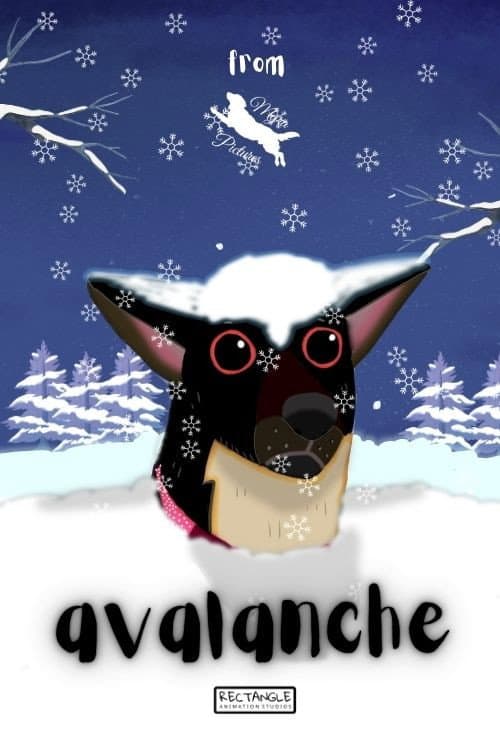 Avalanche