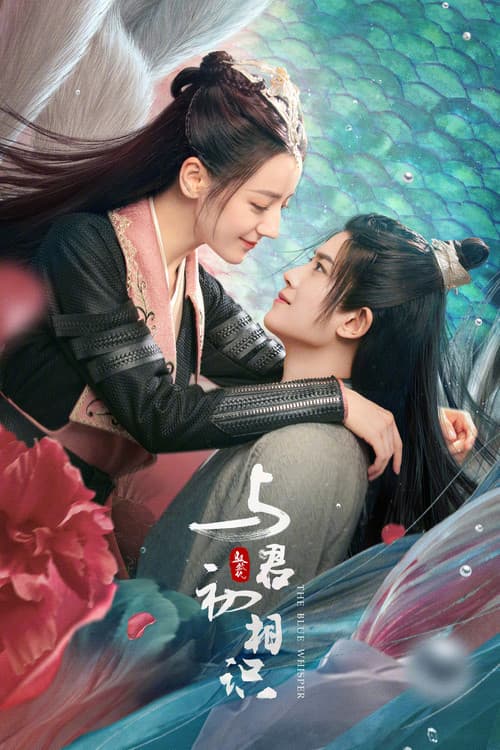 与君初相识