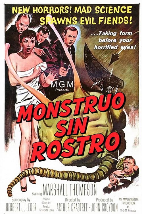 Monstruo sin rostro