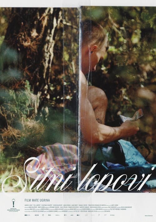 Sitni lopovi