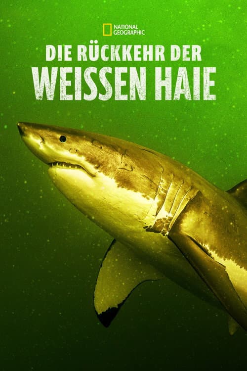 Die Rückkehr der Weißen Haie