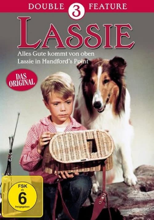 Lassie in Handford’s Point