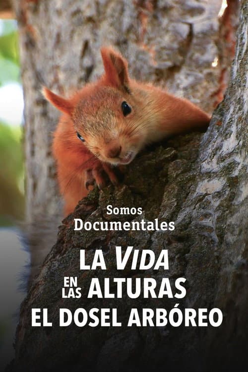La vida en las alturas. El dosel arbóreo