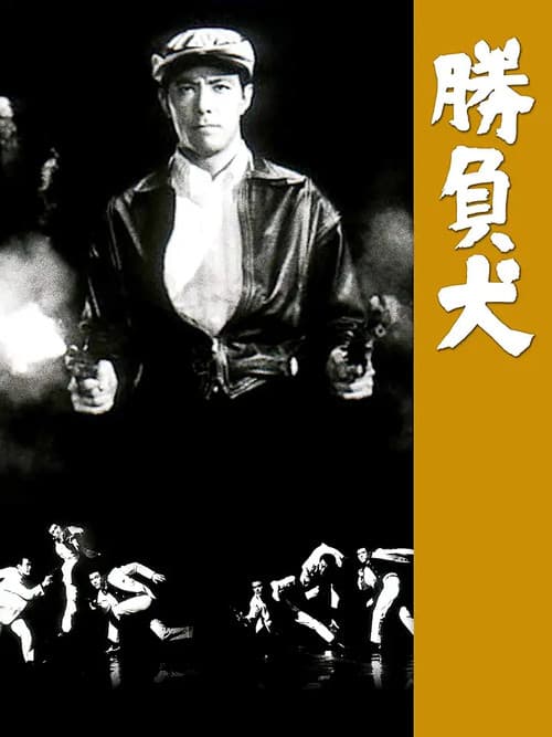 勝負犬