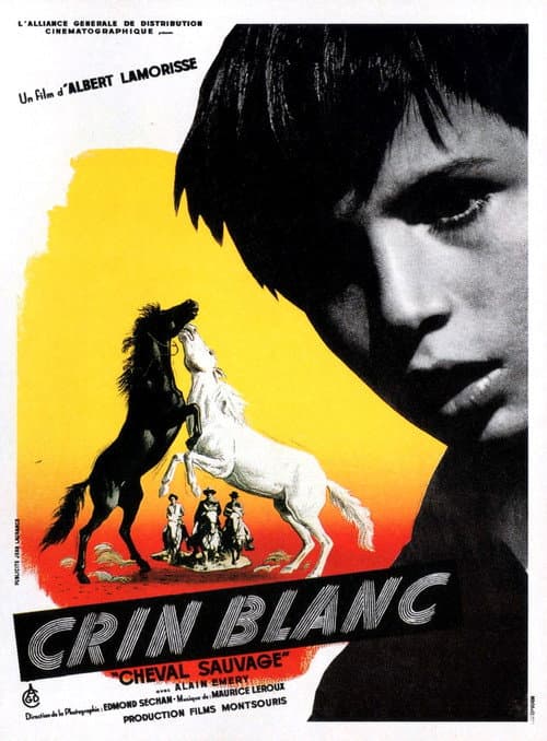 Crin Blanc : Le Cheval sauvage
