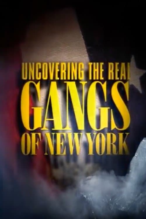 Die Wahren Gangs of New York