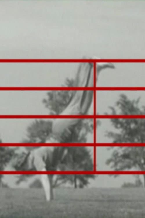 Screen Play