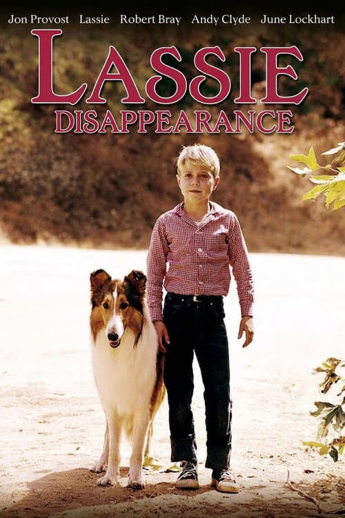 Lassie: Disappearance