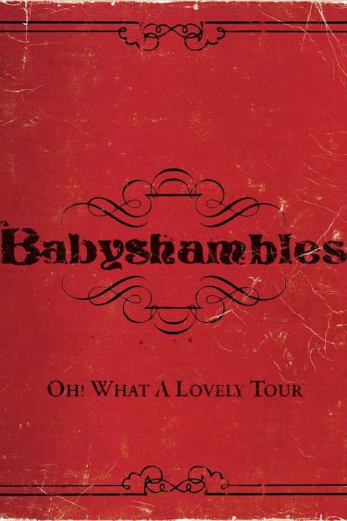 Oh! What a Lovely Tour - Babyshambles Live