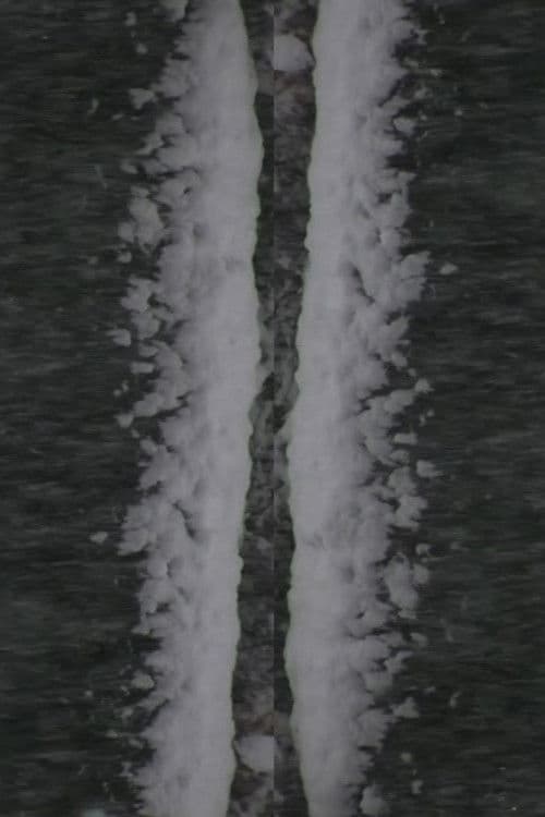 Snow Fall