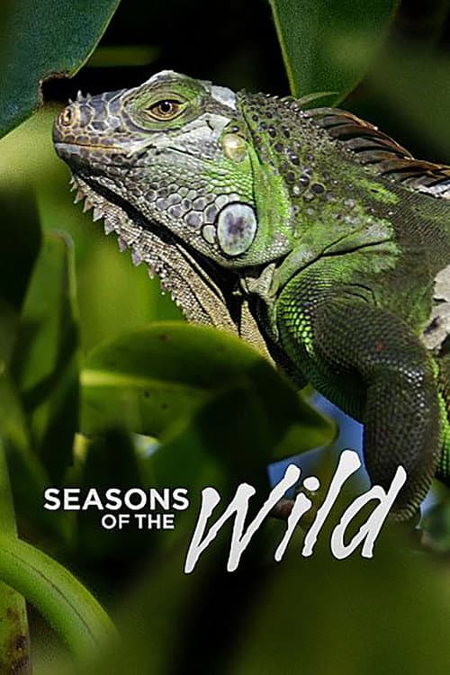 Die Jahreszeiten in der Wildnis