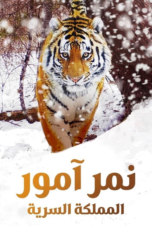 نمر آمور المملكة السرية