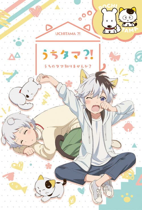 Uchitama! Have you seen my Tama