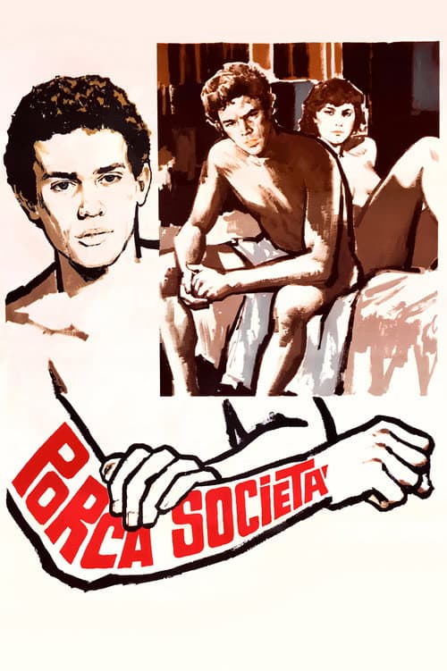 Porca società