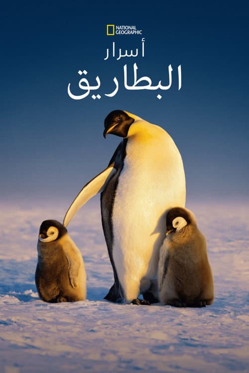 أسرار البطاريق
