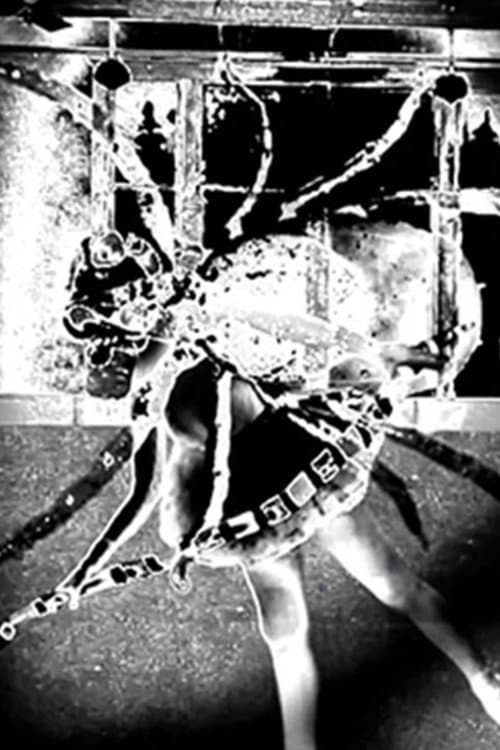 Nine Inch Nails: Came Back Haunted