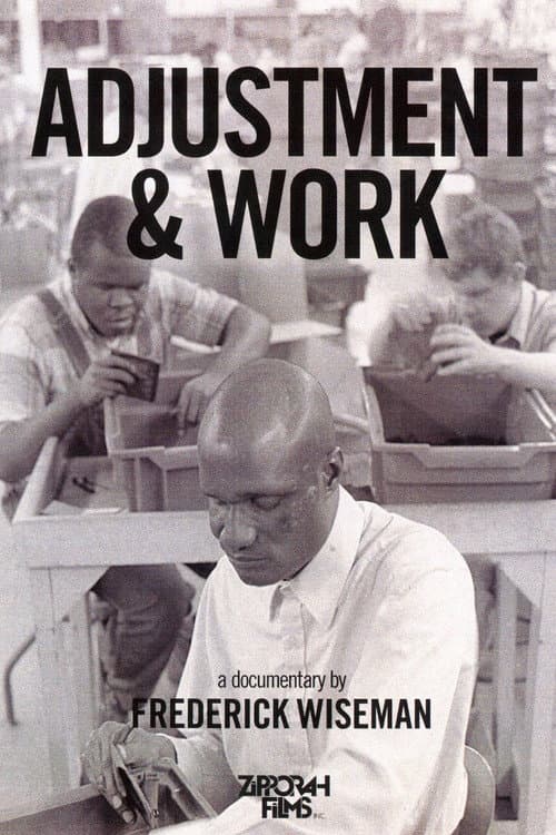 Adjustment & Work