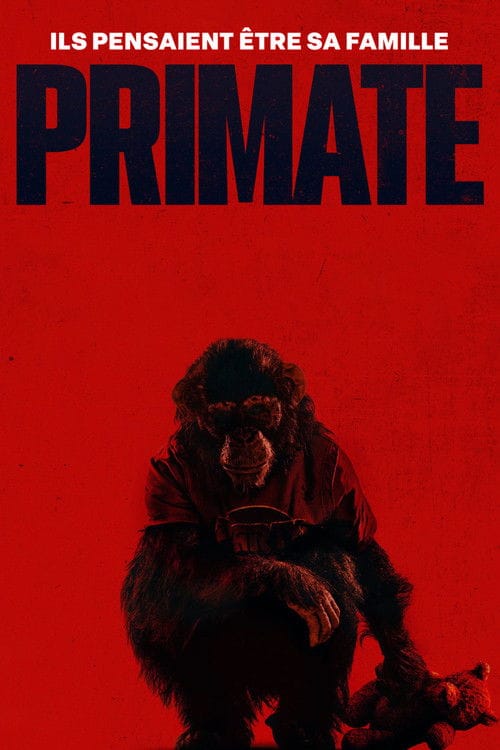Primate