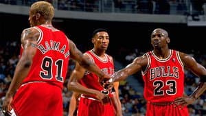 UNSTOP-A-BULLS - 1996 NBA Championship