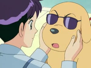 Episode 264