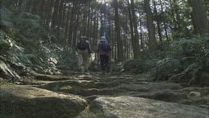 Episode 27
