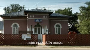 Robi pleacă în Dubai
