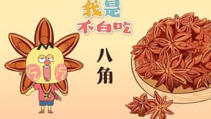 Episode 221