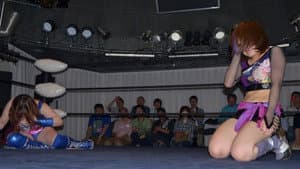 TJPW Tokyo Circuit 2014 Round.5