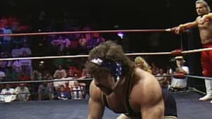 World Championship Wrestling - Apr. 22, 1989