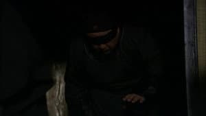 Episode 29