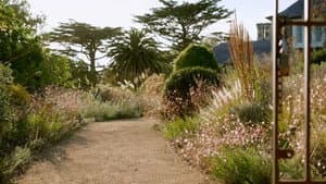 Episode 13 Autumn: Iconic Foliage Garden & Begonias 101
