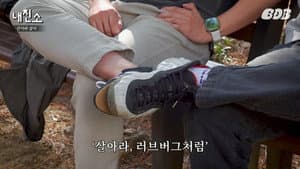 Episode 15