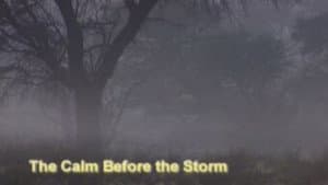 The Calm Before the Storm