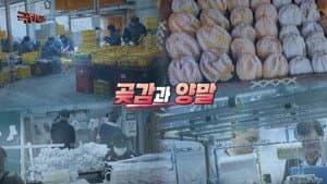 Episode 1209