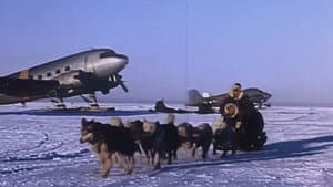 Tales From Antarctica