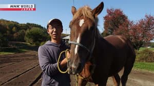 Chasing a Dream With a Horse
